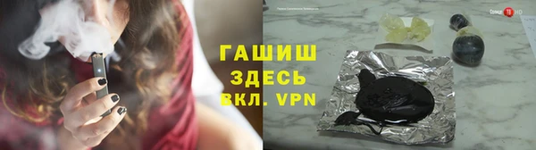 прущие грибы Абинск