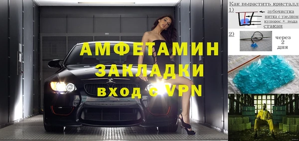 прущие грибы Абинск